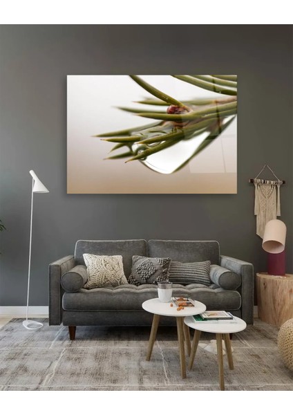 Su Damlalı Bitki Yatay Cam Tablo fırsatları