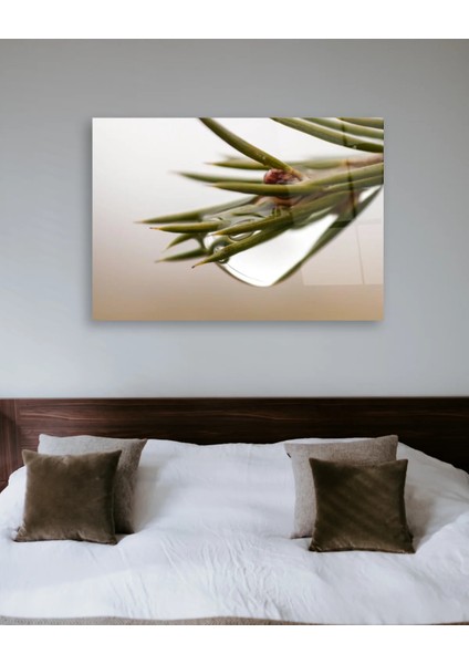 Su Damlalı Bitki Yatay Cam Tablo indirimleri