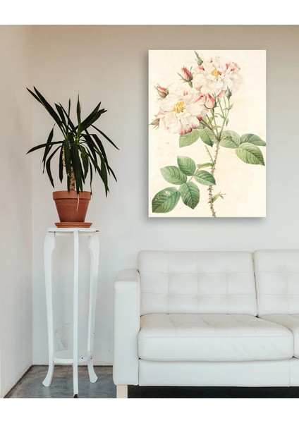 Beyaz Güller Cam Tablo fırsatları