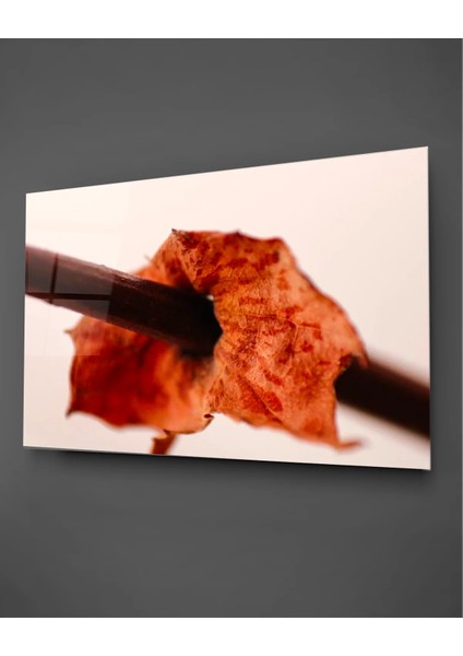 Turuncu Yaprak Yatay Cam Tablo