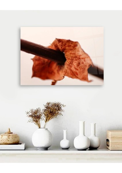 Turuncu Yaprak Yatay Cam Tablo fiyatları