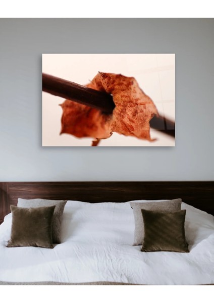 Turuncu Yaprak Yatay Cam Tablo fırsatları