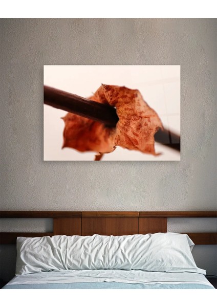 Turuncu Yaprak Yatay Cam Tablo indirimleri