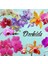 25 Adet 10 Farklı Renk Oncidium Orkide Tohumu + 10 Adet Gökkuşağı Gül Tohumu 1