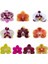 100 Adet 10 Farklı Renk Oncidium Orkide Tohumu + 10 Adet Hediye K.renk Gerbera Çiçeği Tohumu 1