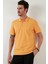 % 100 Pamuk Düğmeli Polo T Shirt Erkek Polo 5902127 2