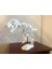 T-Rex Realistic Skeleton Dekor Büyük Boy 2