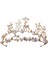 Tiara ve Taç Başlıkları Pageant Tiaras Prenses Taç Doğum Günü Partisi Tarzı G (Yurt Dışından) 3