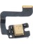 Mikrofon Mic Vericileri Flex Kablo Ipad 3 Için Değiştirme Onarımı (1) (Yurt Dışından) 3