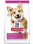 Science Plan Kuzu Etli Küçük Irk Yetişkin Köpek Maması 6 kg 1