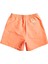 Beach Please 16 Erkek Volley Short EQYJV03991 1