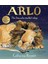 Arlo The Lion Who Couldn't Sleep 1