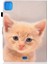 Deri Kılıf iphone 8 Artı / 7 Artı Şirin Kedi (Yurt Dışından) 4