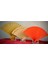 Çin Yelpazesi Açılır Kapanır Dekor Yelpaze 40 cm 3