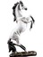 Atlar Heykelcik Detaylı El Kavisli Heykel Bar Süsleri Modern Hediye Beyaz (Yurt Dışından) 1