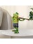 Creative Frog Heykel Heykel Figürin Açık Ev Bahçe Saksı Saksı Dekor 5.71X6.69INCH (Yurt Dışından) 3