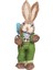 Sevimli Saman Tavşan Paskalya Koleksiyon W/bahçe Ev Dekorasyonu Yeşil (Yurt Dışından) 4
