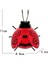 Metal Ladybugs Bahçe Duvar Sanatı Asılı Duvar Heykeli 11X8.8X5.5CM Yaygın Olarak Kullanılan Kırmızı (Yurt Dışından) 2
