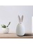Masa Üstü Koleksiyon Penceresi Için Sevimli Paskalya Tavşanı Figürinler Heykeli C 15CM Allık (Yurt Dışından) 5