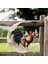 Rooster Moon Metal Duvar Sanat Sanat Heykel Banyo Ofis Bahçesi 30CM Için (Yurt Dışından) 5