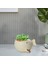 Sevimli Küçük Etli Tencere Süsü Yeşil Bitki Potu Hayvan Bonsai Flowerpot Beyaz (Yurt Dışından) 2