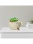 Sevimli Küçük Etli Tencere Süsü Yeşil Bitki Potu Hayvan Bonsai Flowerpot Beyaz (Yurt Dışından) 3