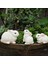 3pcs Tavşan Heykel Reçine El Sanatları Tavşan Figürinleri Bahçe Raf Oturma Odası (Yurt Dışından) 4