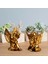 2x Cherubs Angels Heykel Reçine El Yapımı Ev Dekor Masası Altın Için Sevimli (Yurt Dışından) 4