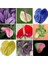 10'lu 10 Farklı Renk Phalaenopsis Orkide Tohumu + 10'lu Kırmızı Flamingo Çiçeği Tohumu 4
