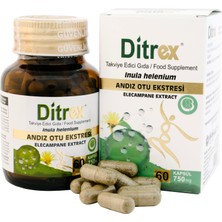 Distilex Ditrex 750 mg inula helenium Kapsül yapışkan andız otu