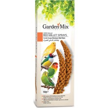 Garden Mix 2 Adet Platin Kirmizi Dal Dari
