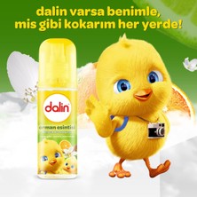 Dalin Orman Esintisi Bebek Kolonyası 100 ml 3 Adet