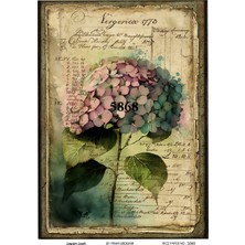 Lineart Pirinç Dekopaj Kağıdı 5868