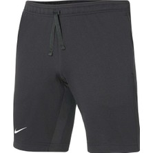 Nike DH9363-070 M Nk STRKE22 Short Erkek Şortu