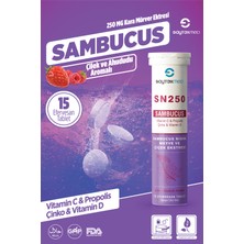 Saytekmed Sn 250 - Kara Mürver Ekstresi - Vitamin C - Propolis - Çinko ve Vitamin D İçeren Takviye Edici Gıda