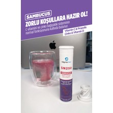 Saytekmed Sn 250 - Kara Mürver Ekstresi - Vitamin C - Propolis - Çinko ve Vitamin D İçeren Takviye Edici Gıda