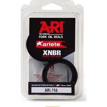 Arıete Ktm Sx-F 450 48X57,7X9,5/10,3 (03/16) ARI.116  Tek Yaylı