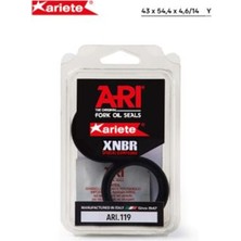 Arıete Bmw F 800 S  Ön Amortisör Toz Keçesi  (06/10) 43X54,4X4,6/14 ARI.119