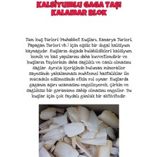 ÖzPati Kalamarlı Gaga Taşı Kalamar Blok