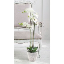 Karasu Yakamoz Orkide Saksı No:3 2,4 Lt. (17,7 x 15,6 Cm)