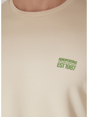 Aeropostale Bisiklet Yaka Baskılı Bej Erkek T-Shirt E-Fortune