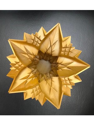 Turansoy Craft Uzay Çiçeği Vazo 21 cm