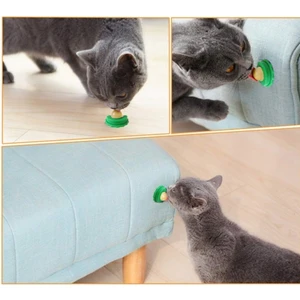 Catnipli Yalama Şeker Topu