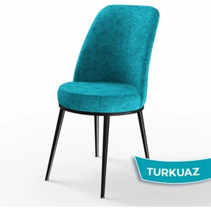 Concept Dexa Serisi Üst Kalite Mutfak Sandalyesi Metal Siyah Iskeletli 1 Adet  Sandalye