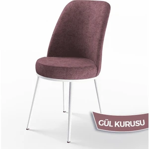 Concept Dexa Serisi Üst Kalite Mutfak Sandalyesi Metal Beyaz Iskeletli 1 Adet  Sandalye