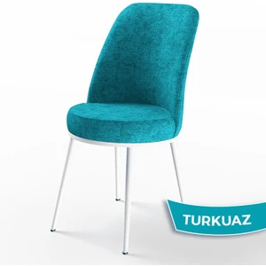 Concept Dexa Serisi Üst Kalite Mutfak Sandalyesi Metal Beyaz Iskeletli 1 Adet  Sandalye