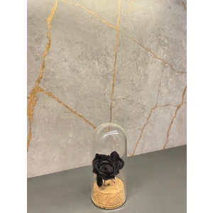 Mussa Halfetiden Karagül Fanus