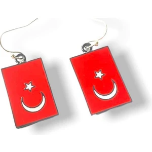 Herşey Nota Bayrak Küpe