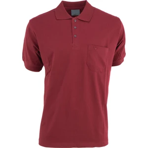 Erkek Polo Yaka Cepli Kısa Kollu Hilfiger Model Normal Kesim Pamuklu Lakos Kumaş Tişört