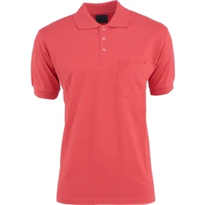 Erkek Polo Yaka Cepli Kısa Kollu Hilfiger Model Normal Kesim Pamuklu Lakos Kumaş Tişört